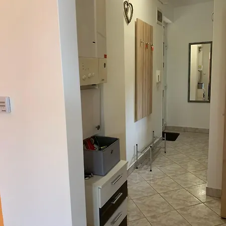 Hunor Hortenzia Balatonlelle